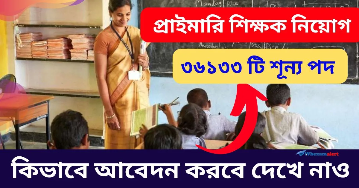 DEE Primary teacher recruitment 2024